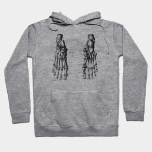 Foot and Ankle Skeletal Diagram Hoodie